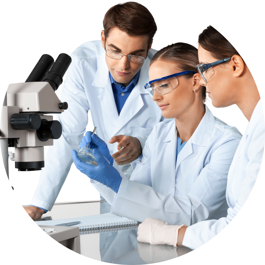 lab